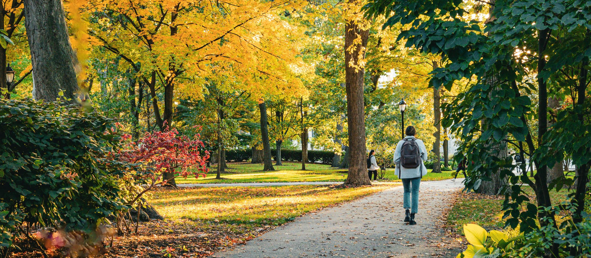 University Campus